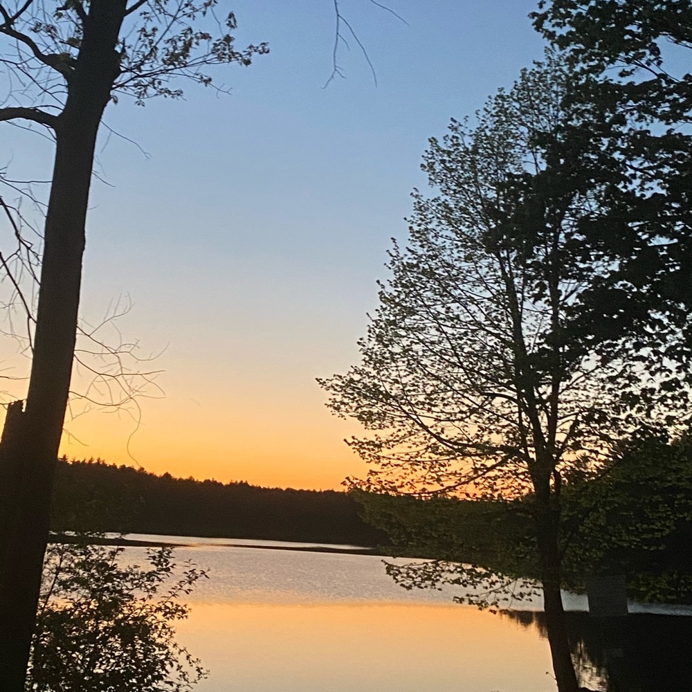 Meet your Posher, Tea